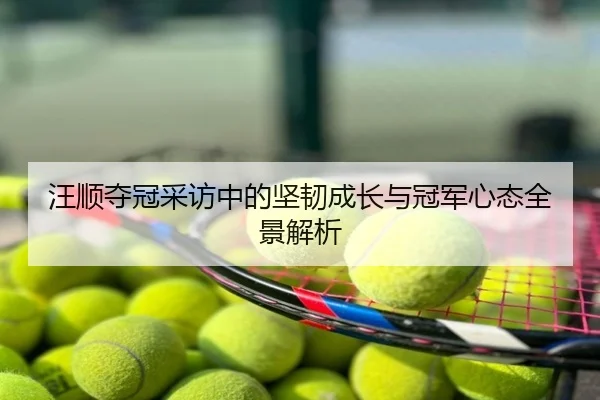 汪顺夺冠采访中的坚韧成长与冠军心态全景解析