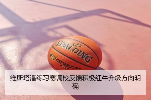 维斯塔潘练习赛调校反馈积极红牛升级方向明确